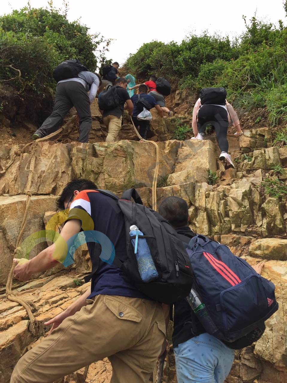 1517190284560661.jpg 5.jpg