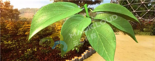 1522047757151691.jpg 1_副本.jpg