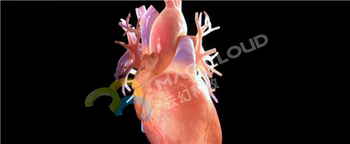 1522047775430420.jpg 3_副本.jpg