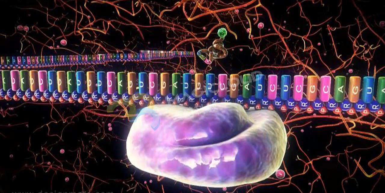 1522139073403375.jpg 1522139073403375.jpg