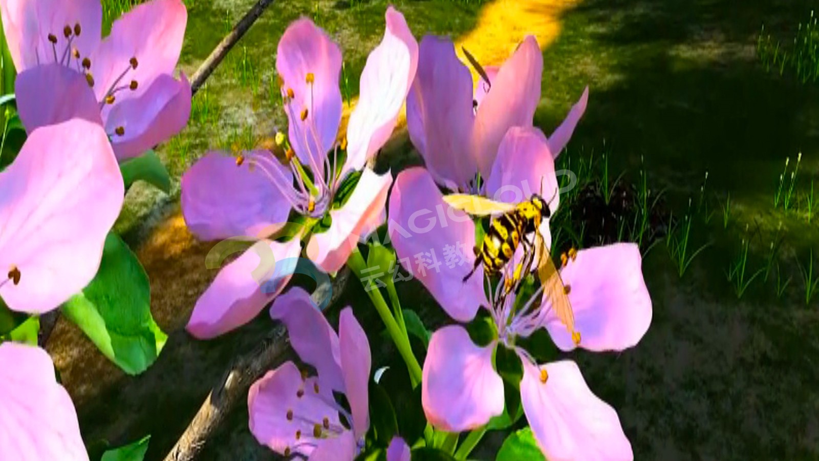 1522139092561778.jpg 1522139092561778.jpg