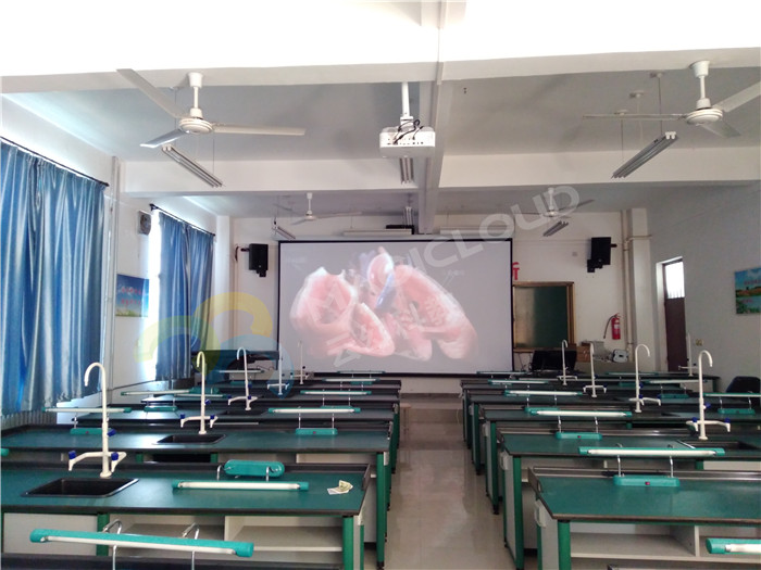 1523500080259882.jpg 陜西省西安市高陵區鹿苑中學2_副本.jpg