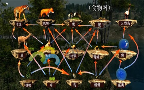 1532394867688259.jpg 2.jpg