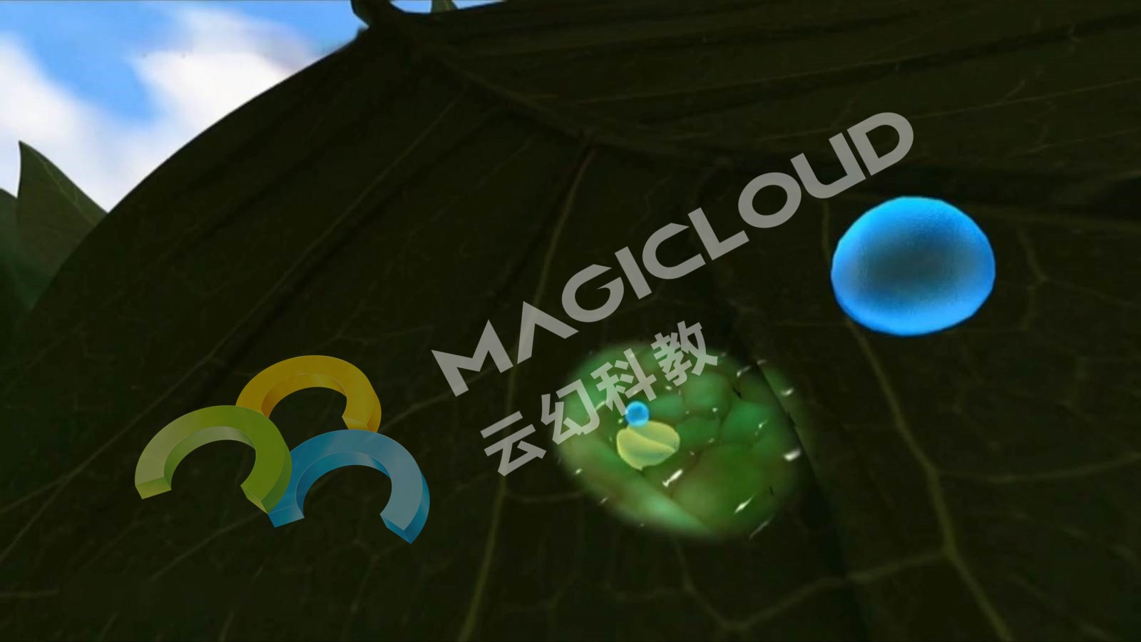 1532660670230778.jpg 1532660670230778.jpg