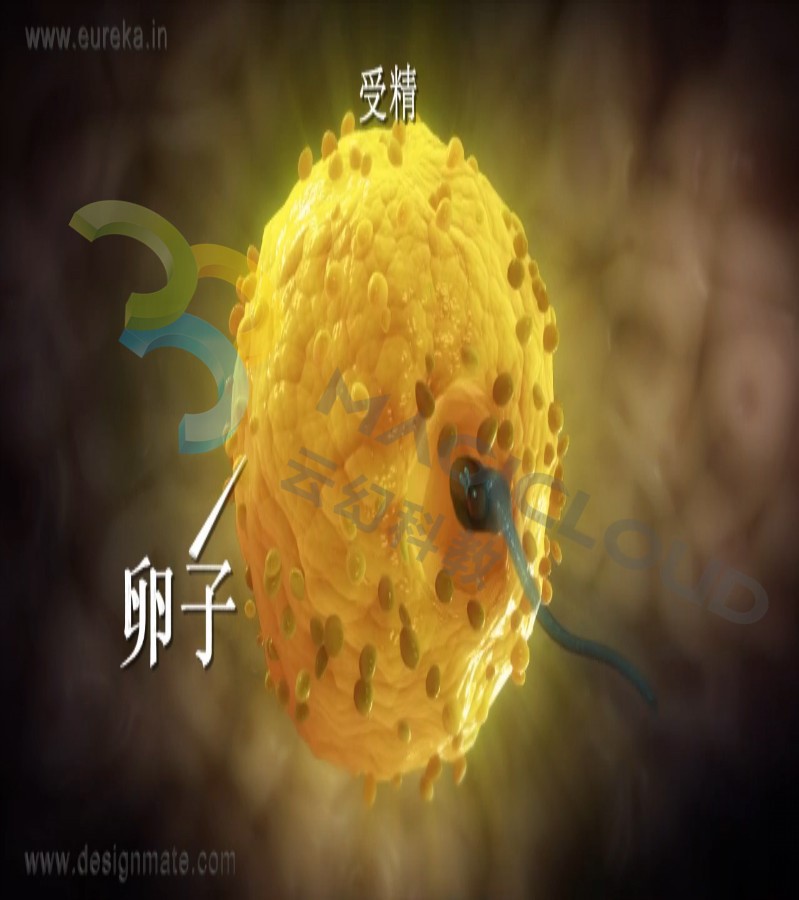 1534123622340667.jpg 1534123622340667.jpg