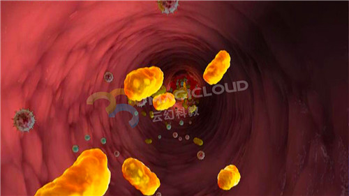 1545200118929536.jpg 5_副本.jpg