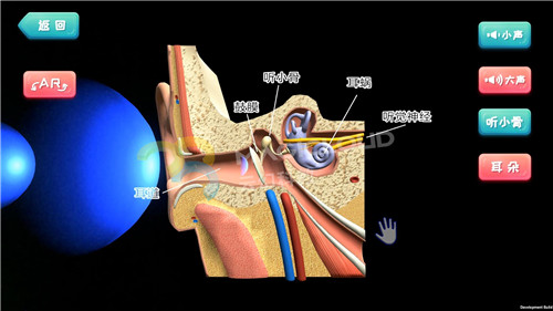 1551662849425573.jpg 12_副本.jpg