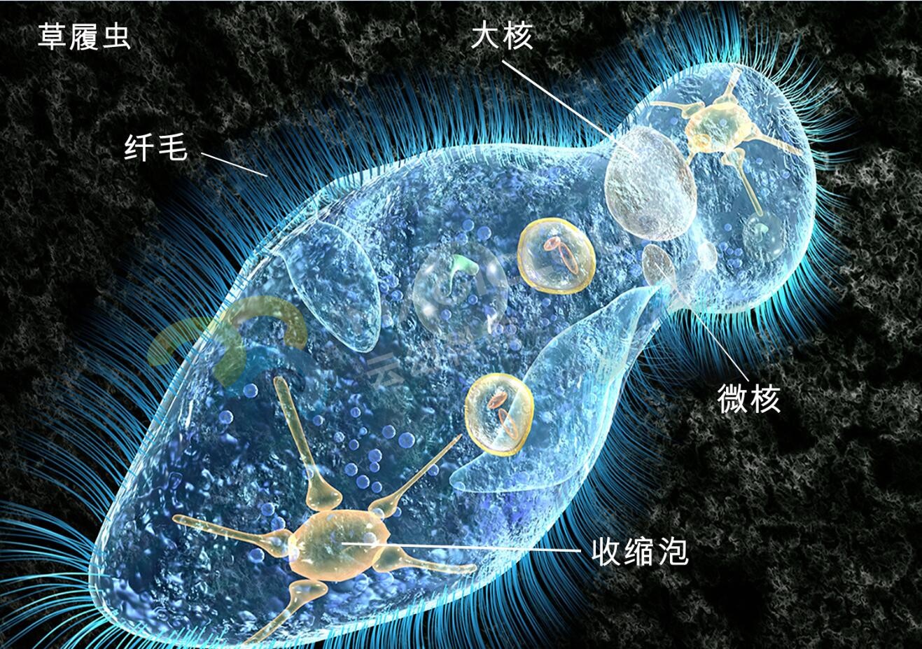 1562549265611564.jpg 4_副本.jpg