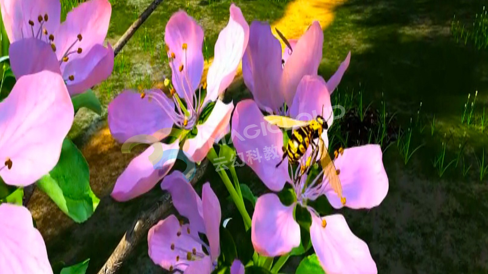 1565577426783897.jpg 4_副本.jpg