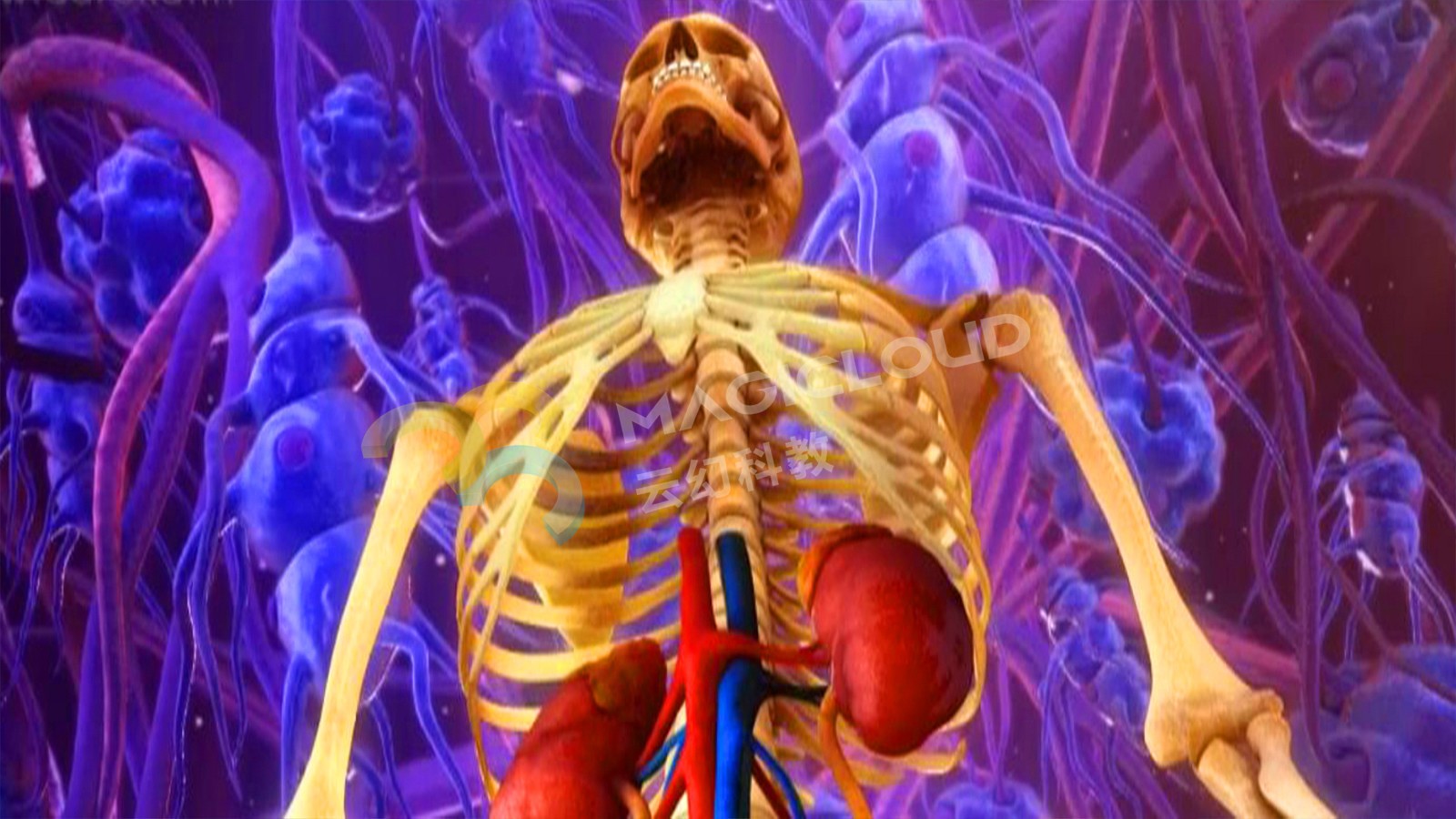 1566178955268023.jpg 3_副本.jpg