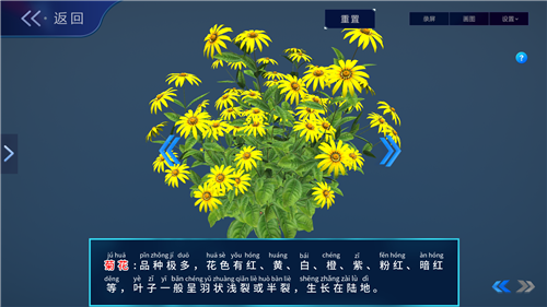 1586520945669425.png 16_副本.png