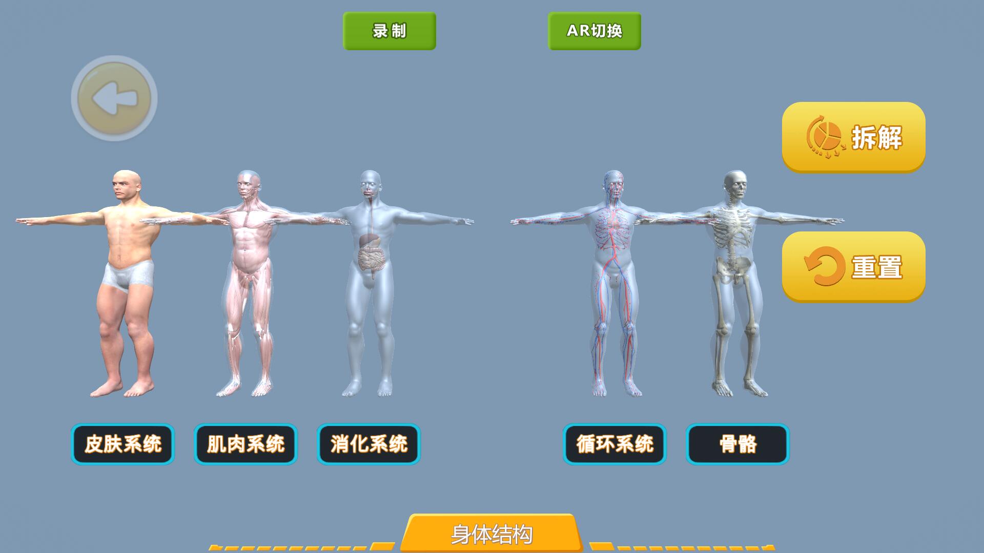 【AR生物】身體結構