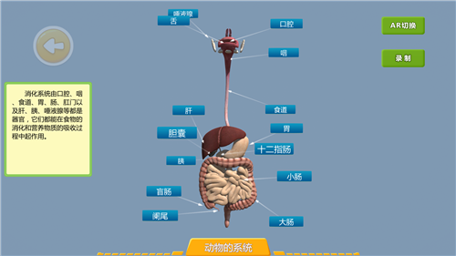 1590137038589285.png 17.png