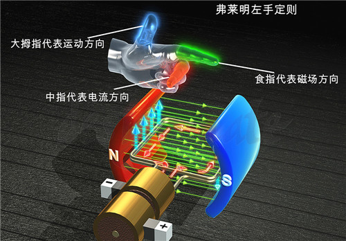 1590137276600346.jpg 31.jpg