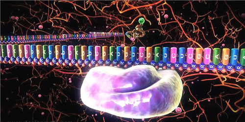 1590137357692104.jpg 38.jpg