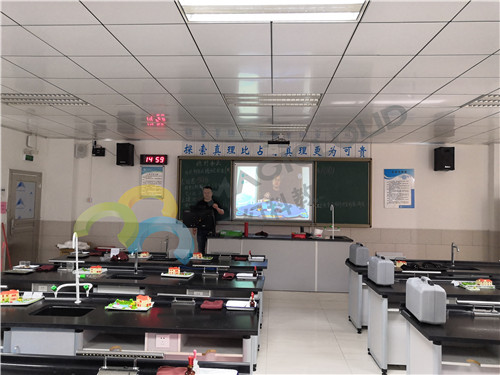 廣東省深圳市龍崗天成學(xué)校