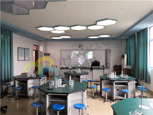 廣東省深圳市龍華區教科院附屬小學