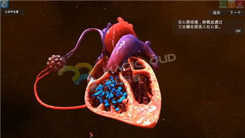 1591839892390552.jpg 6_副本.jpg