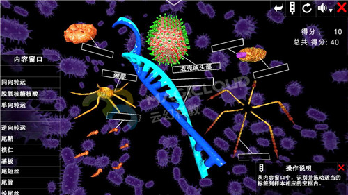 1591839928240205.jpg 8-1_副本.jpg