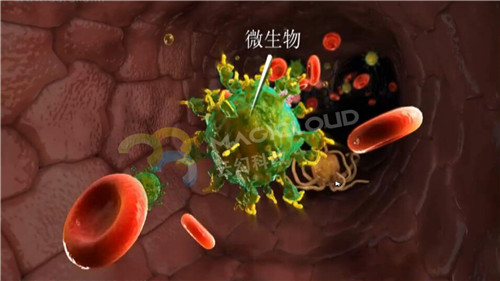 1591839959361885.jpg 10_副本.jpg