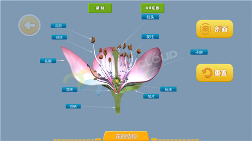 1595208391538431.png 10_副本.png