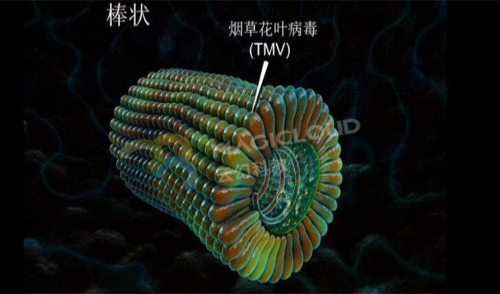 1595810293307695.jpg 3_副本.jpg