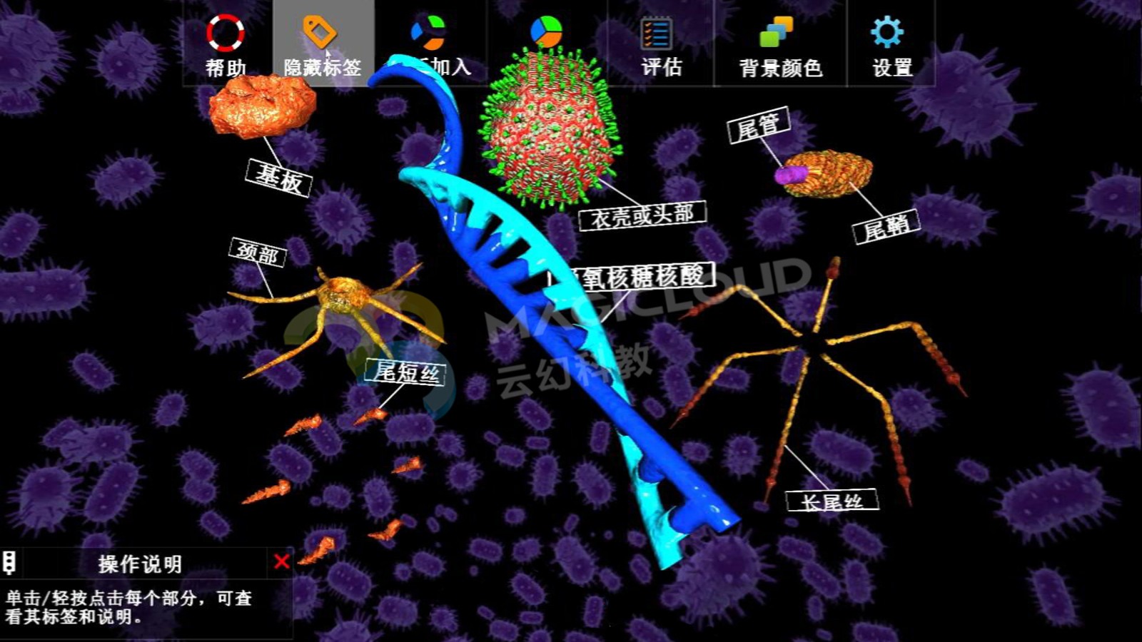 1595810387418930.jpg 7_副本.jpg