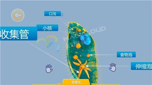 1597366722121636.jpg 5_副本.jpg