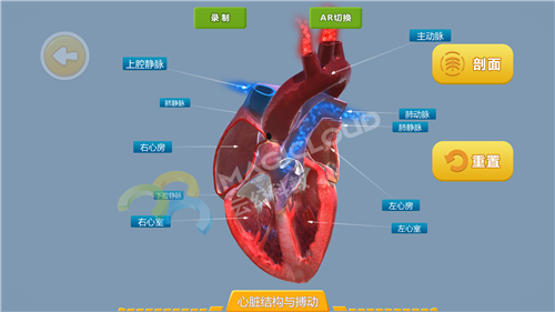 1597627923381152.png 1597627923381152.png