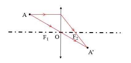 1678955646275639.jpg 1.jpg