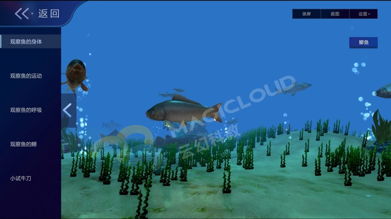 1749180242303222.jpg 1749180242303222.jpg