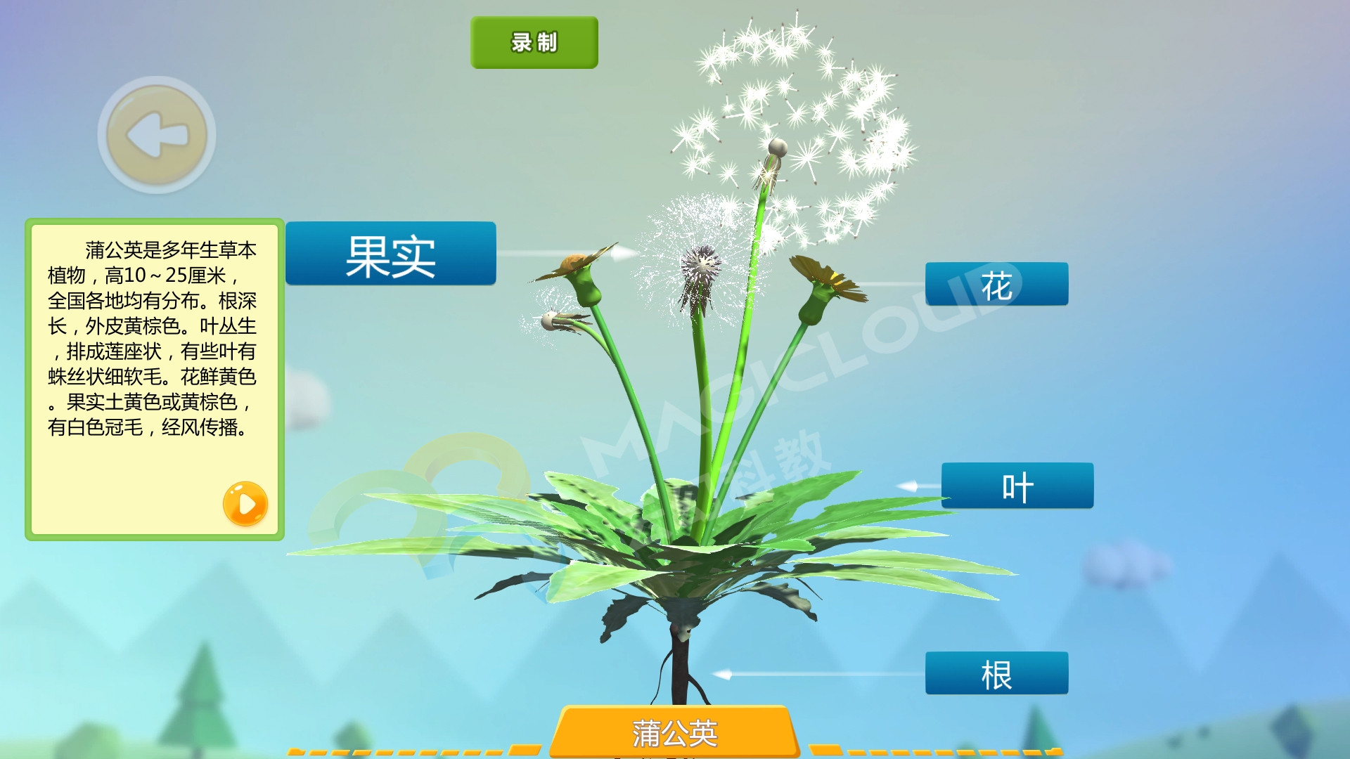 1749180291798571.jpg 1749180291798571.jpg