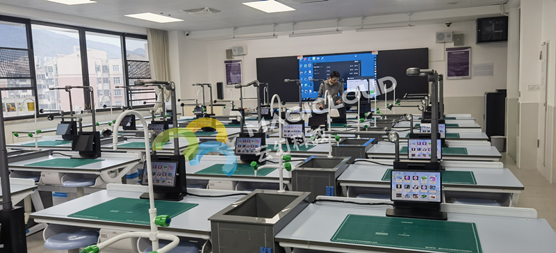 深圳市鹽田山海學(xué)校